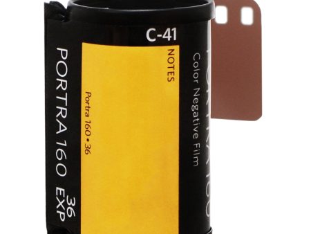 Kodak Portra 160 Professional Color Negative Film (35mm Roll Film, 36 Exposures, Single Roll) Online now