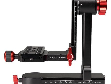 Promaster 7076 GH25 Professional Gimbal Head Online